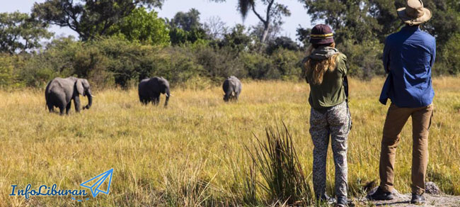 6 TEMPAT TERBAIK UNTUK MENGUNJUNGI AFRIKA TAHUN 2020